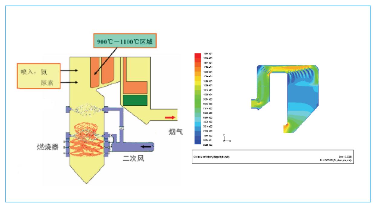 1508814548415046.jpg 9.jpg