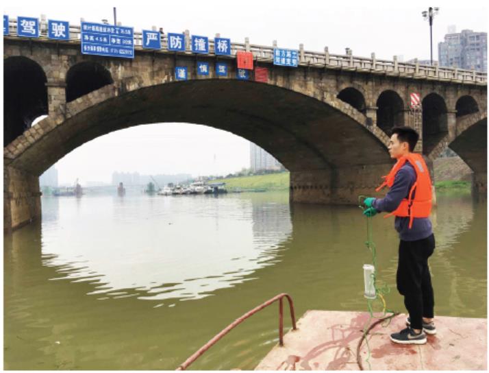 1508899699959648.jpg 10.jpg