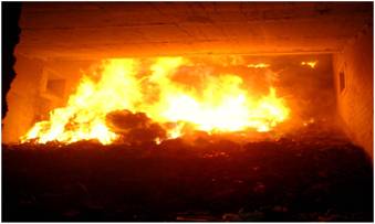 1509429949604015.jpg 圖片4.jpg