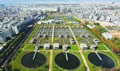 1510628700194432.jpg -.webp.jpg