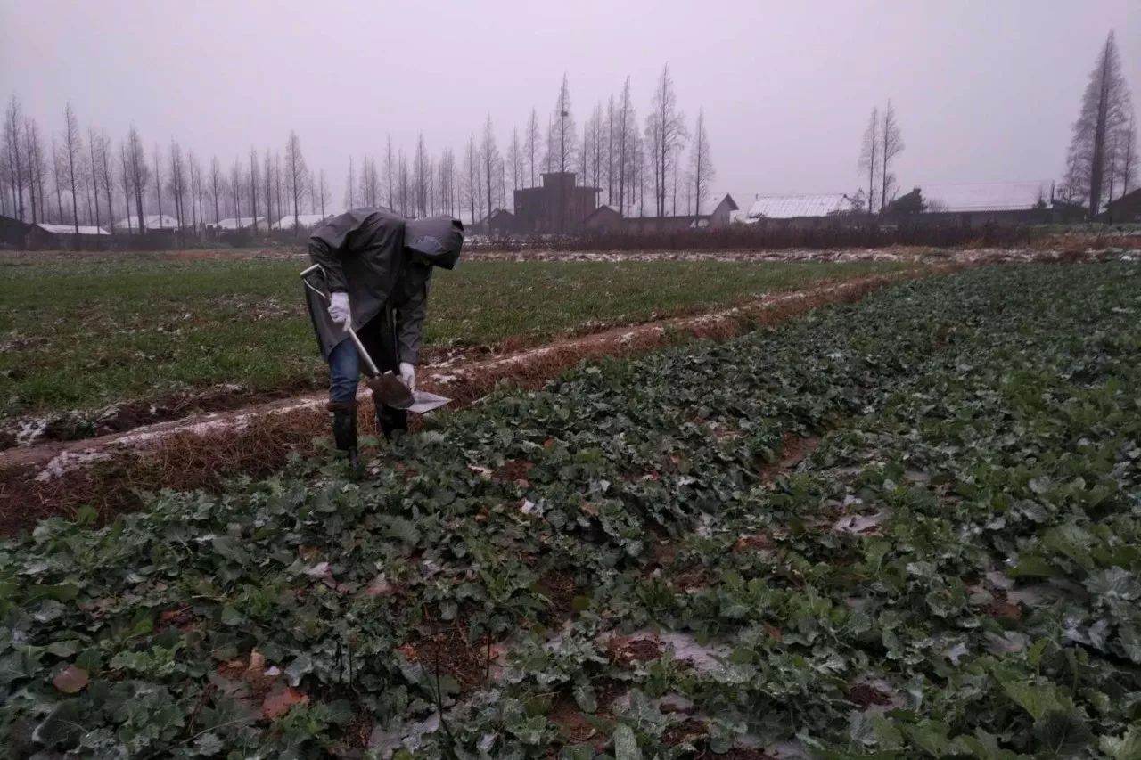 1515641504102131.jpg 微信圖片_20180111113058.jpg