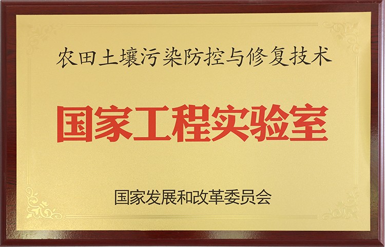 1563245473787575.jpg 國家工程實驗室(重要)750.jpg